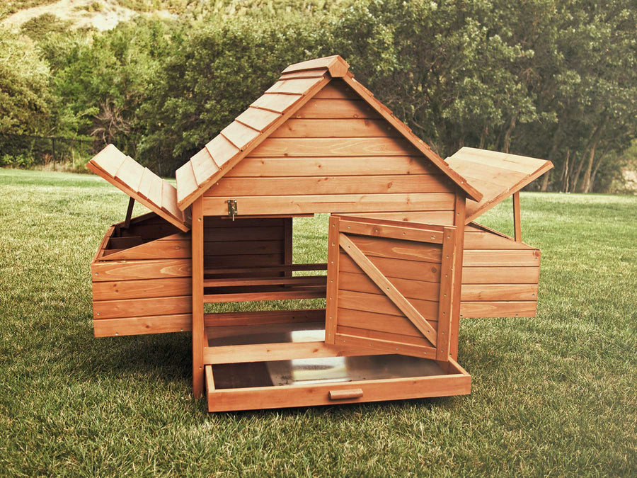 Rambler chicken coop, showing the internal space and sliding mess pan