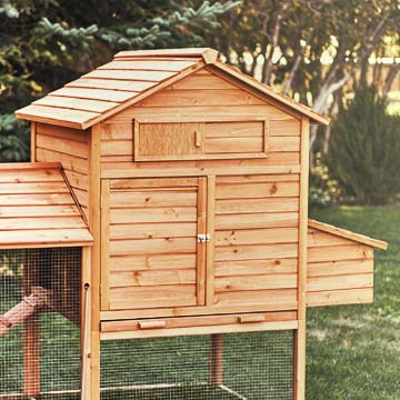 A completed chicken coop