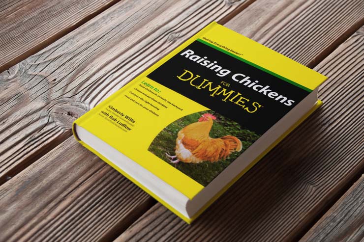 A copy of the book Raising Chicken for Dummies on a wooden outdoor table