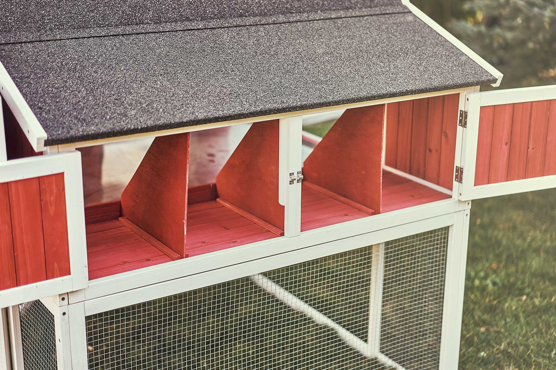 The Barn chicken coop's access doors to nesting areas show how easy it is to access eggs. The asphalt shingle roof will stand the test of time.