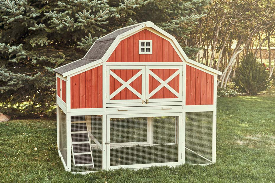 The Barn chicken coop