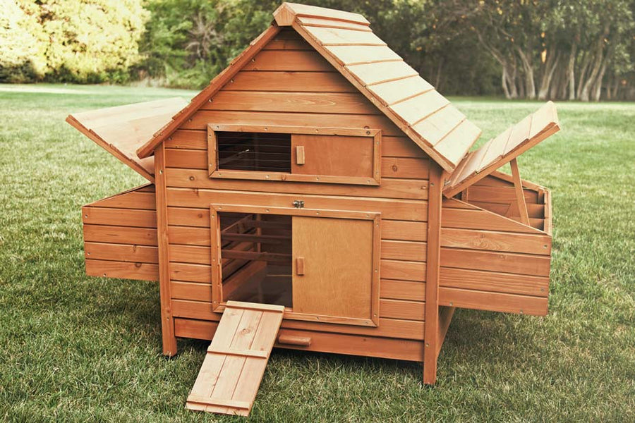 The Rambler chicken coop, with access doors open, revealing 6 nesting areas, mess pans, and roosts