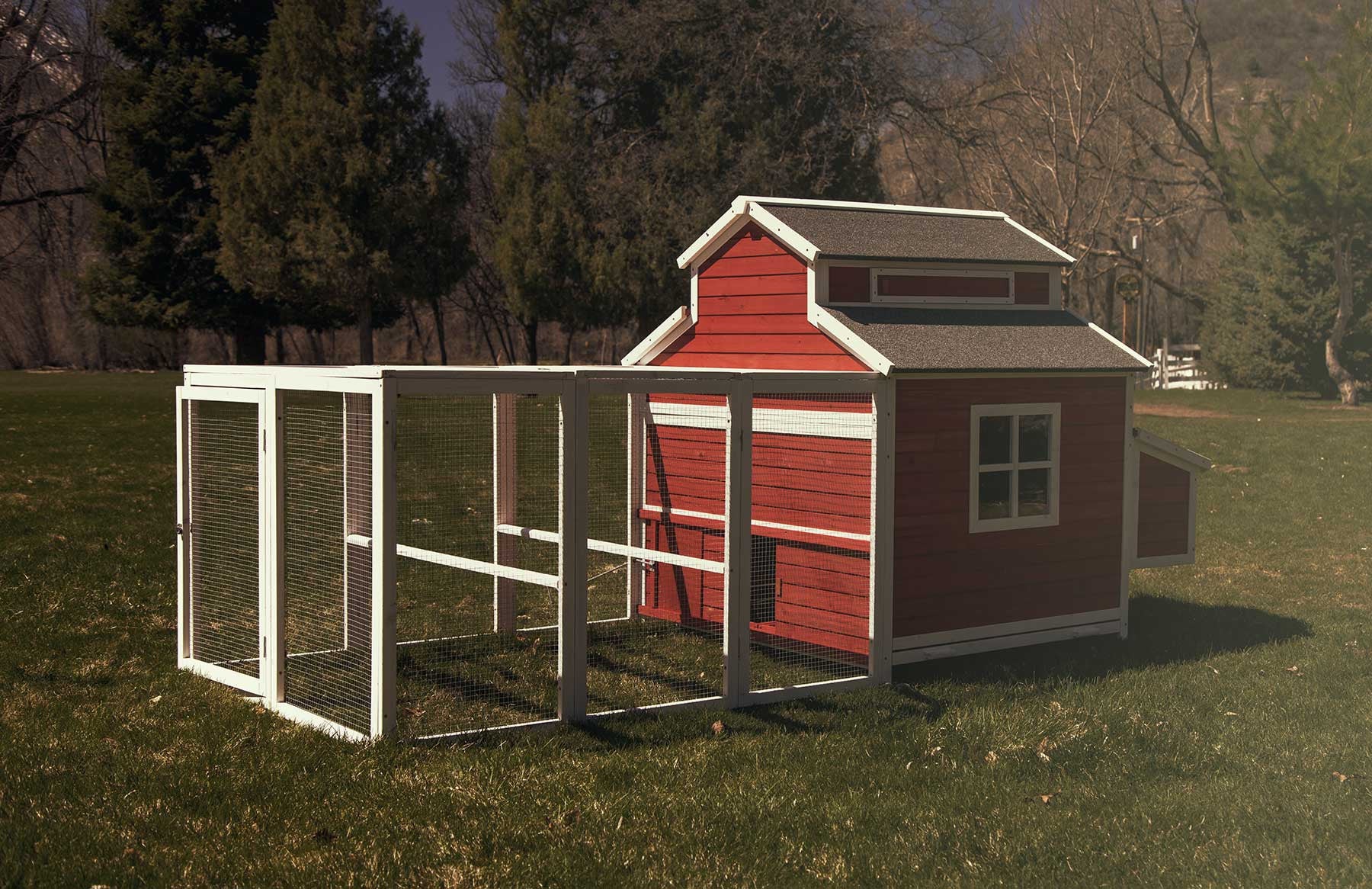 Another side of the Schoolhouse chicken coop, revealing a four-paned window and the traditional red and white schoolhouse paint